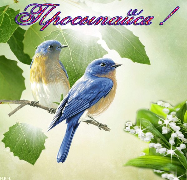 Цветы и птицы