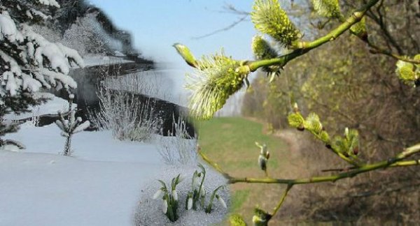 Февраль Весна