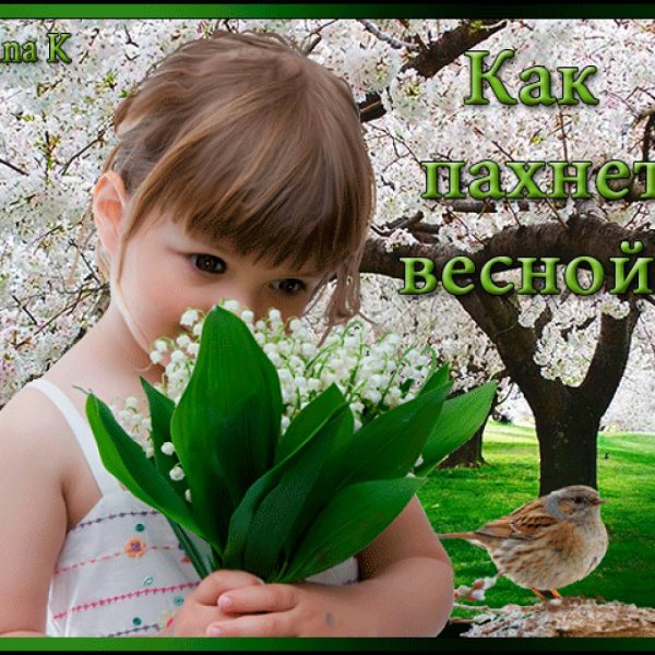 Статусы про зиму красивые