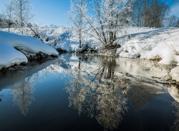 Природа ранней весной