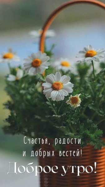 С добрым утром Весна пришла