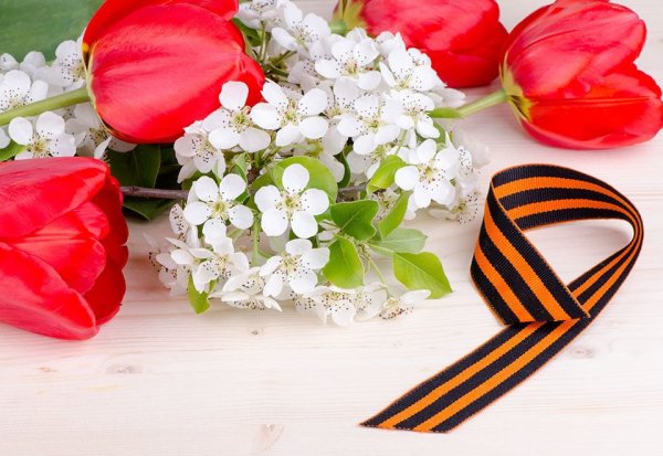 Цветы с георгиевской лентой