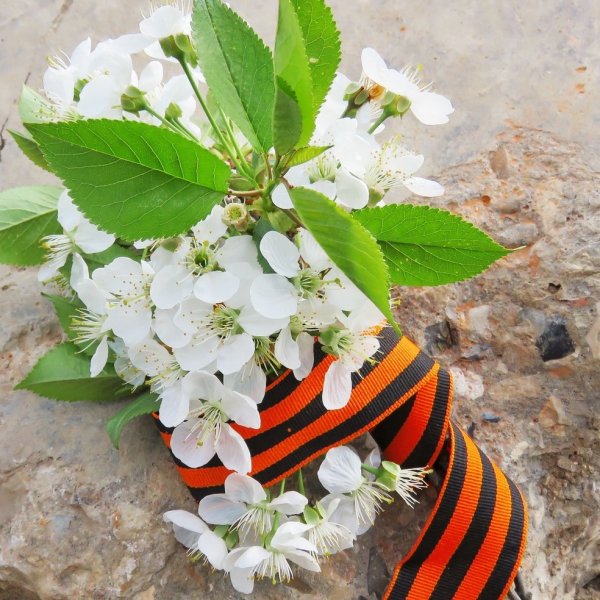 С праздником Победы