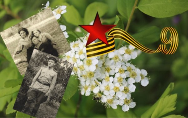 Сирень день Победы