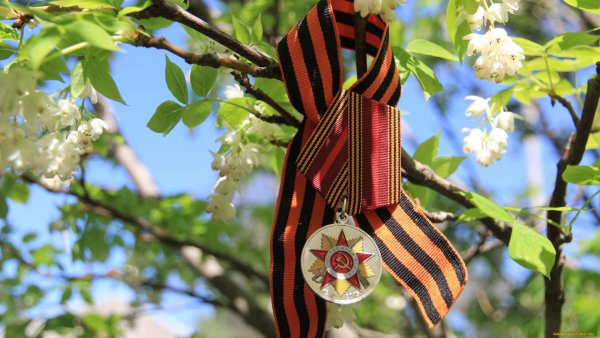 Сирень день Победы