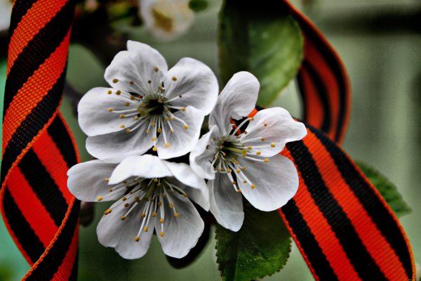 Символ Победы