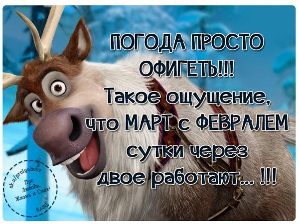 Приколы про зиму и весну