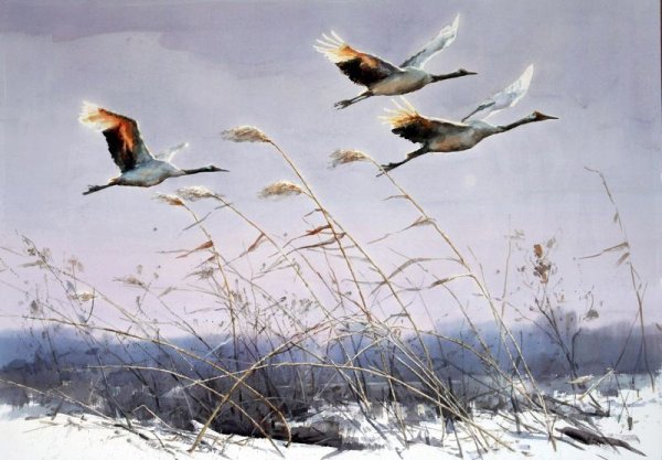 Перелетные птицы в лесу