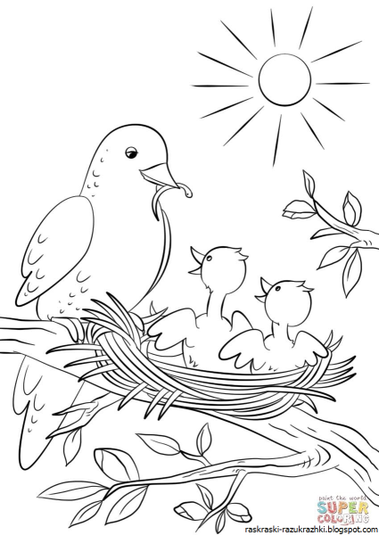 Весенний лес раскраска для детей