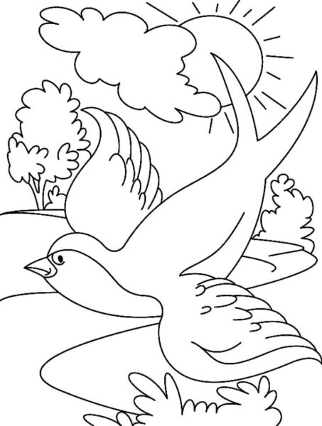 Раскраски Птицы Для Детей 3 4
