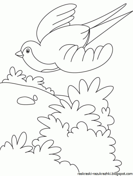 Весенние птицы раскраска
