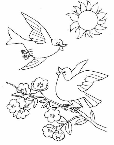 Раскраски птиц для детей и их особенности