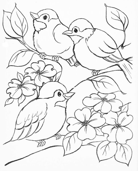Распечатать раскраски птиц, картинки птиц, рисунки птиц