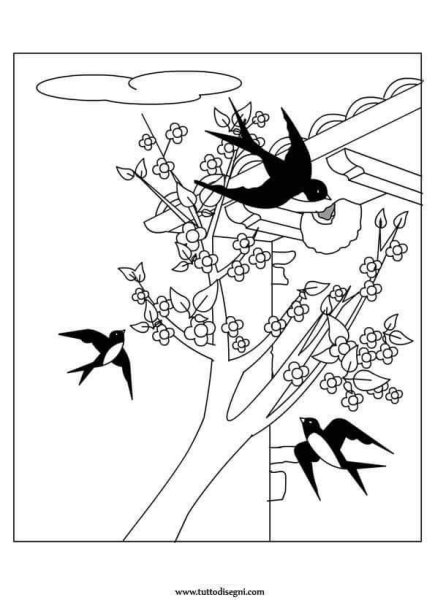 Раскраска гнездо птицы