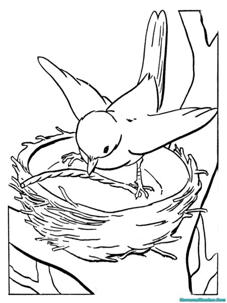 Весенние раскраски для детей