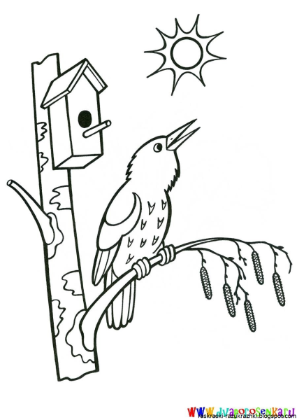 Раскраска. Весна
