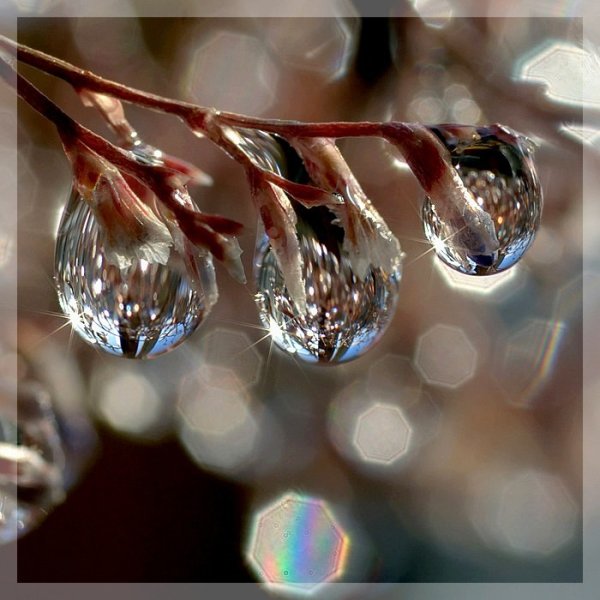 Капель весной