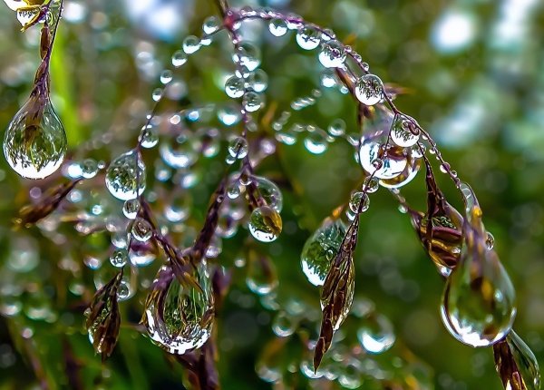 Капель весной