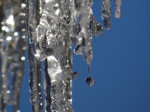 Март капель