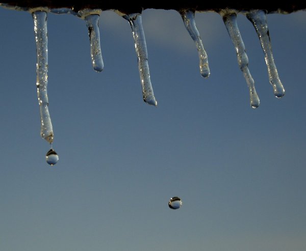 Сосульки тают