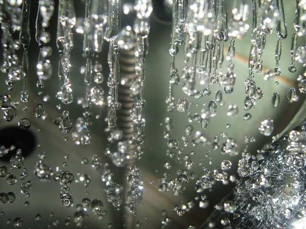 Весенняя капель