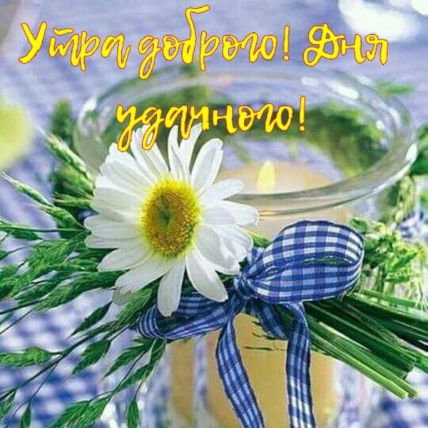 Доброе утро ромашки