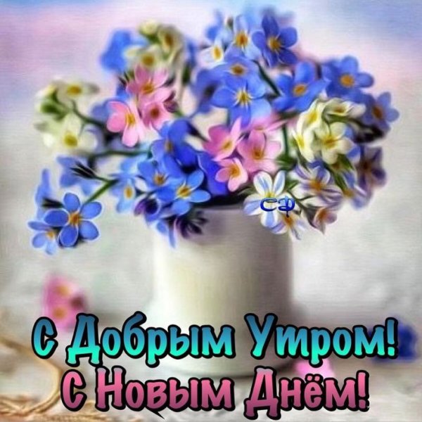 Доброе утро незабудки