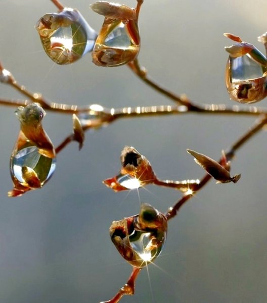 Весенняя капель