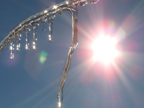 Весенняя капель