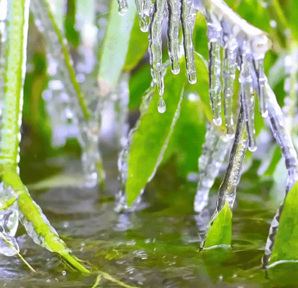 Весенняя оттепель