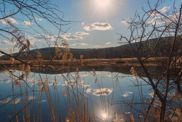 Весна озеро солнце