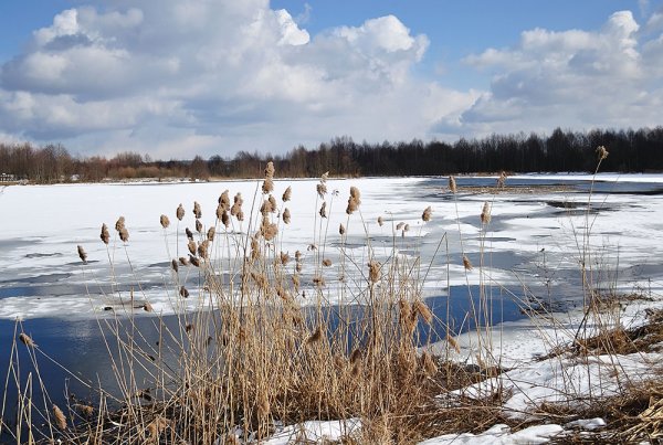 Оттепель Марий Эл