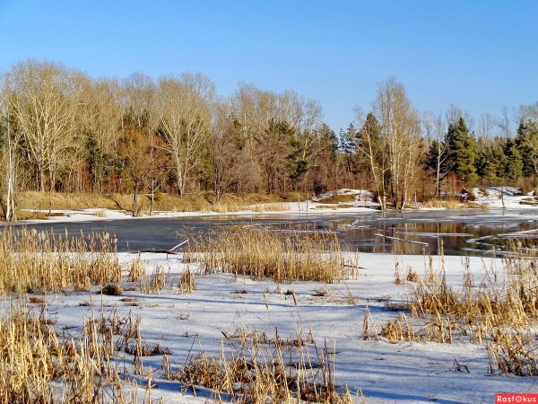Ранняя Весна на озере