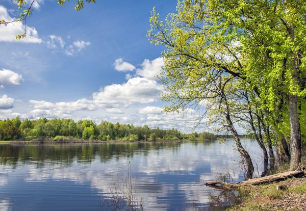 Весеннее озеро