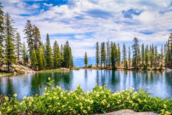 Озеро Весна пейзаж