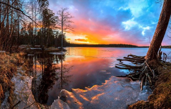 Фёдор Лашков Карелия