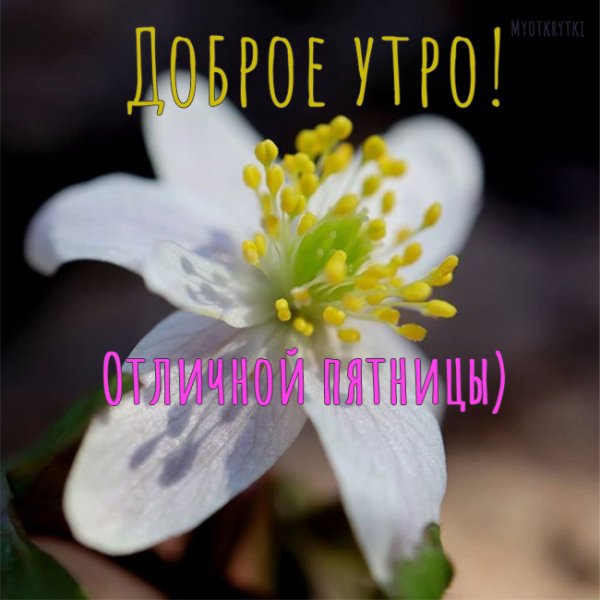 Доброе утро пятница Весна