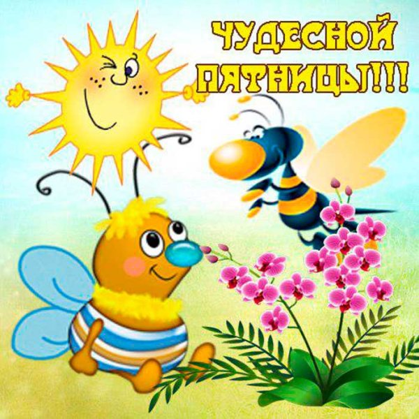 Доброе утро Пчелка