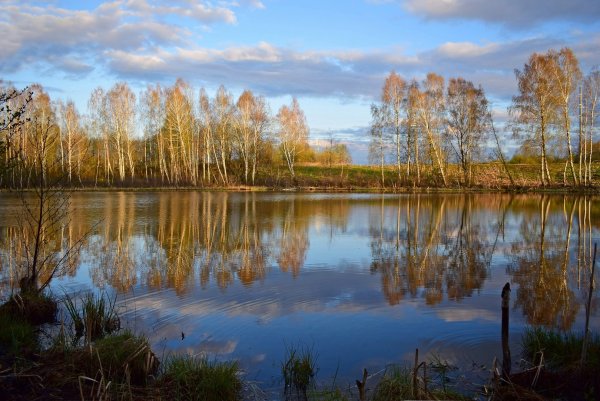Весна лес озеро