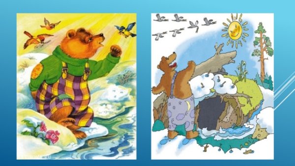 Звери просыпаются весной