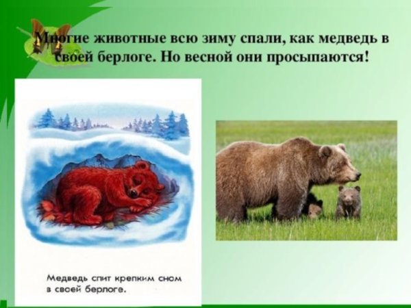 Шпиленок Игорь Камчатка