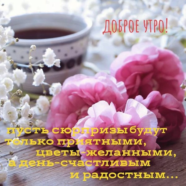 Нежные цветы в чашке