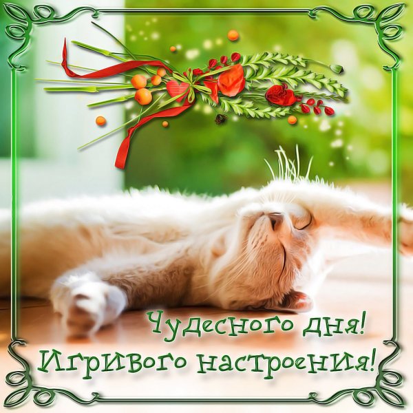 Пожелания с добрым мартовским утром