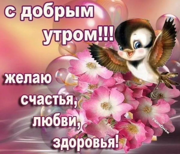 Воскресного весеннего утра и хорошего дня