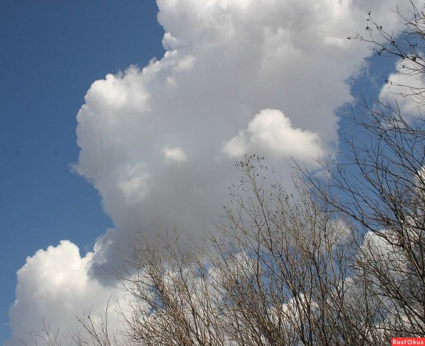 Весенние облака