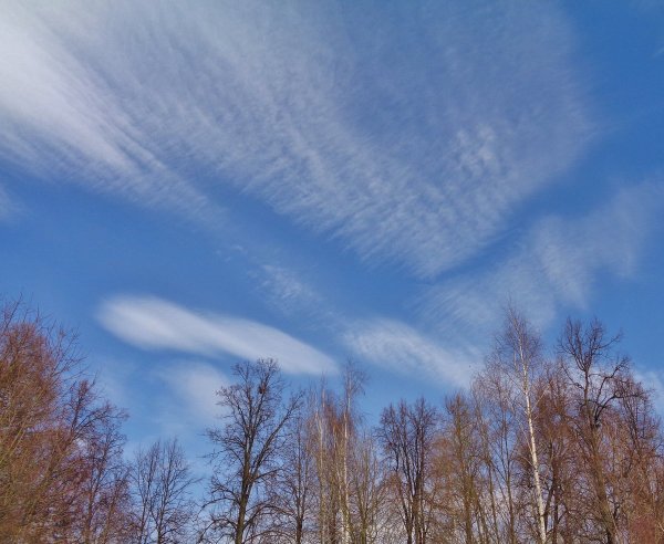 Небо весной