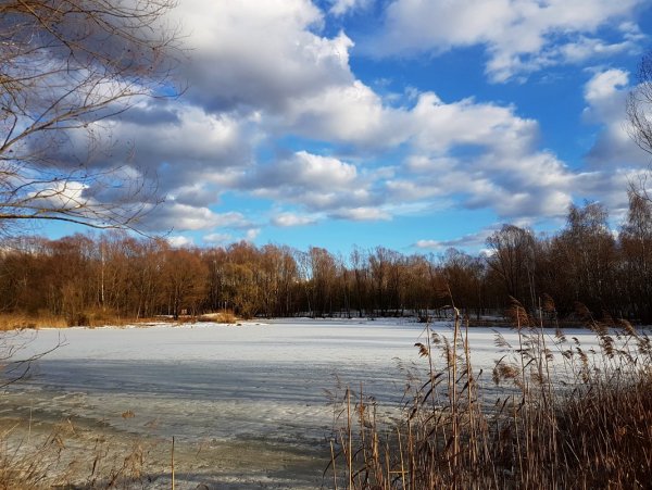 Весеннее небо
