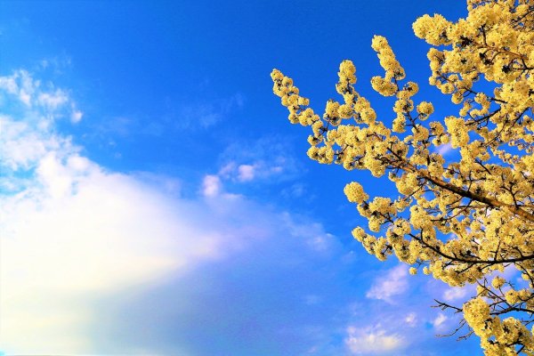 Весенние облака