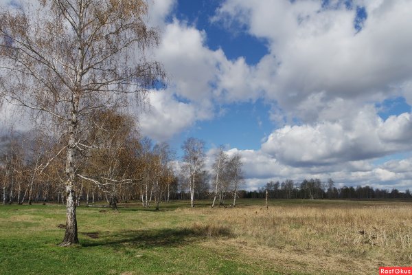 Весеннее небо