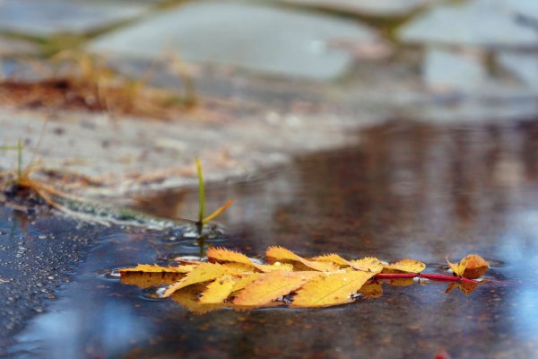 Классного настроения в любую погоду